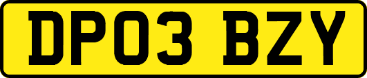DP03BZY