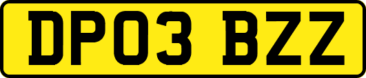 DP03BZZ