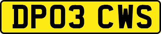 DP03CWS