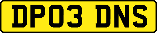 DP03DNS