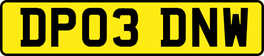 DP03DNW