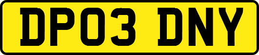 DP03DNY