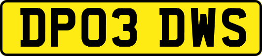 DP03DWS