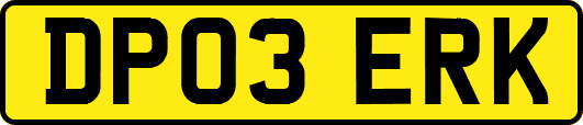 DP03ERK