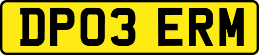 DP03ERM