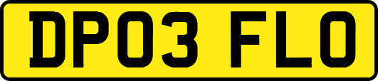 DP03FLO