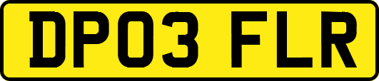 DP03FLR