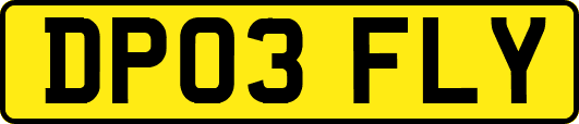 DP03FLY