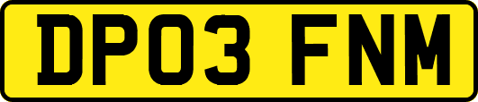 DP03FNM