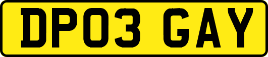 DP03GAY