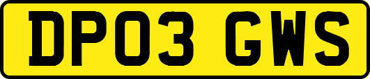 DP03GWS