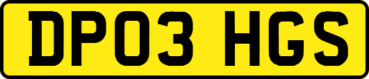 DP03HGS