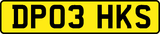 DP03HKS