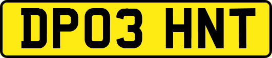 DP03HNT