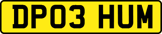 DP03HUM