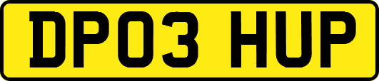 DP03HUP