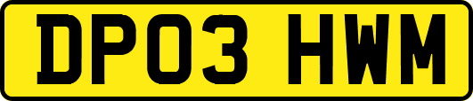 DP03HWM