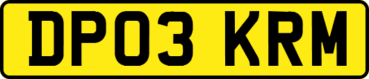 DP03KRM