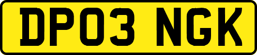 DP03NGK