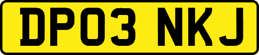 DP03NKJ