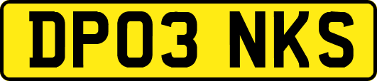 DP03NKS