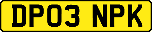 DP03NPK