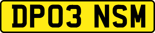 DP03NSM