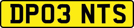 DP03NTS