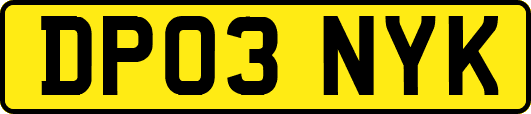 DP03NYK