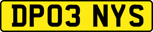 DP03NYS