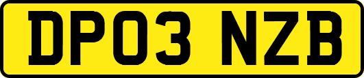 DP03NZB
