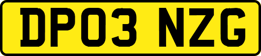 DP03NZG