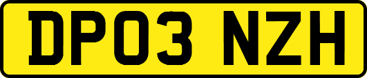 DP03NZH
