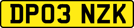 DP03NZK