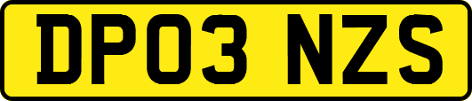 DP03NZS
