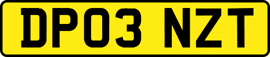 DP03NZT