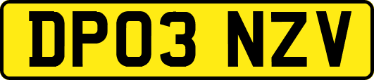 DP03NZV