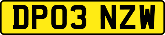 DP03NZW