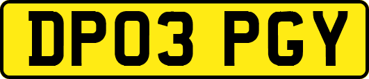 DP03PGY