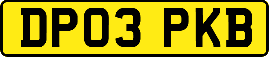 DP03PKB