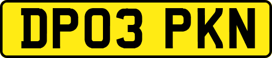 DP03PKN