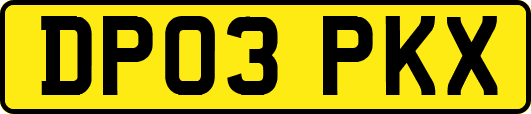 DP03PKX