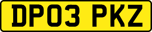 DP03PKZ
