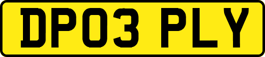 DP03PLY