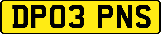 DP03PNS