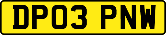 DP03PNW