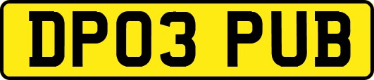 DP03PUB