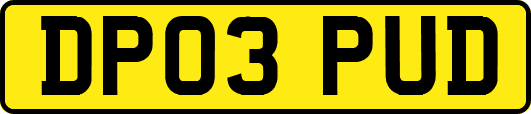 DP03PUD