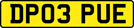 DP03PUE