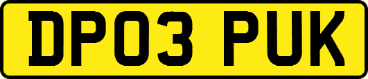 DP03PUK